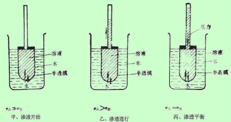 溶液的渗透压